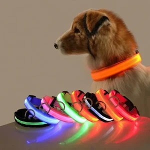 Nylon LED Glowing Night Safety Dog Leash & Collar