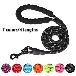 Reflective Strong Dog Leash and Harness (150–300cm)