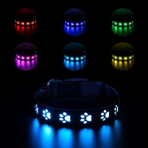 Rechargeable LED Light-Up Dog Collar, USB-C Rainproof